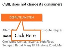 Click on dispute an item Click on dispute an item