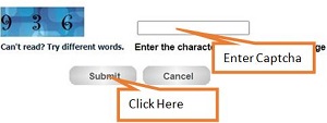 enter captcha and click on submit button